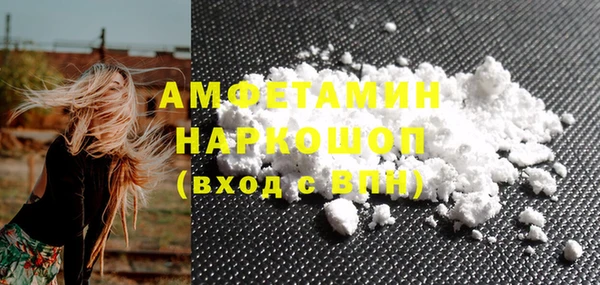 индика Аркадак