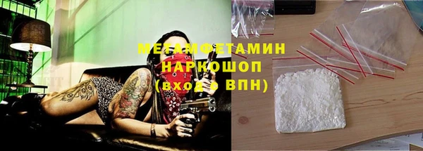 индика Аркадак