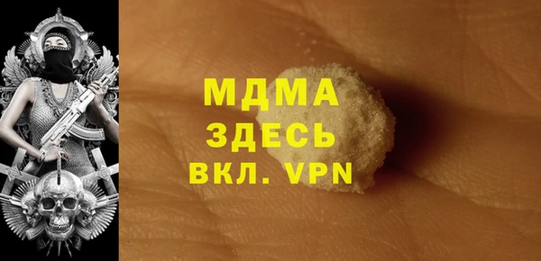 индика Аркадак