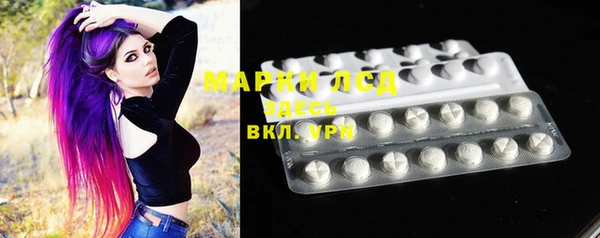 индика Аркадак