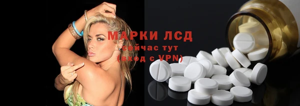 индика Аркадак