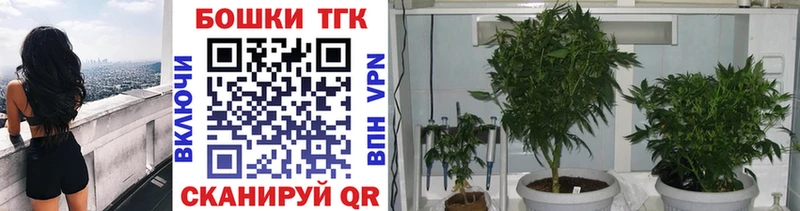 Бошки Шишки марихуана  купить наркоту  Лахденпохья 